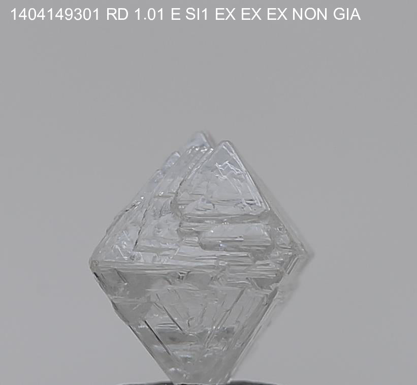 1.01 BR E SI1 EX EX EX Canada CanadaMark GIA 1499542355 CM-421163 Diavik