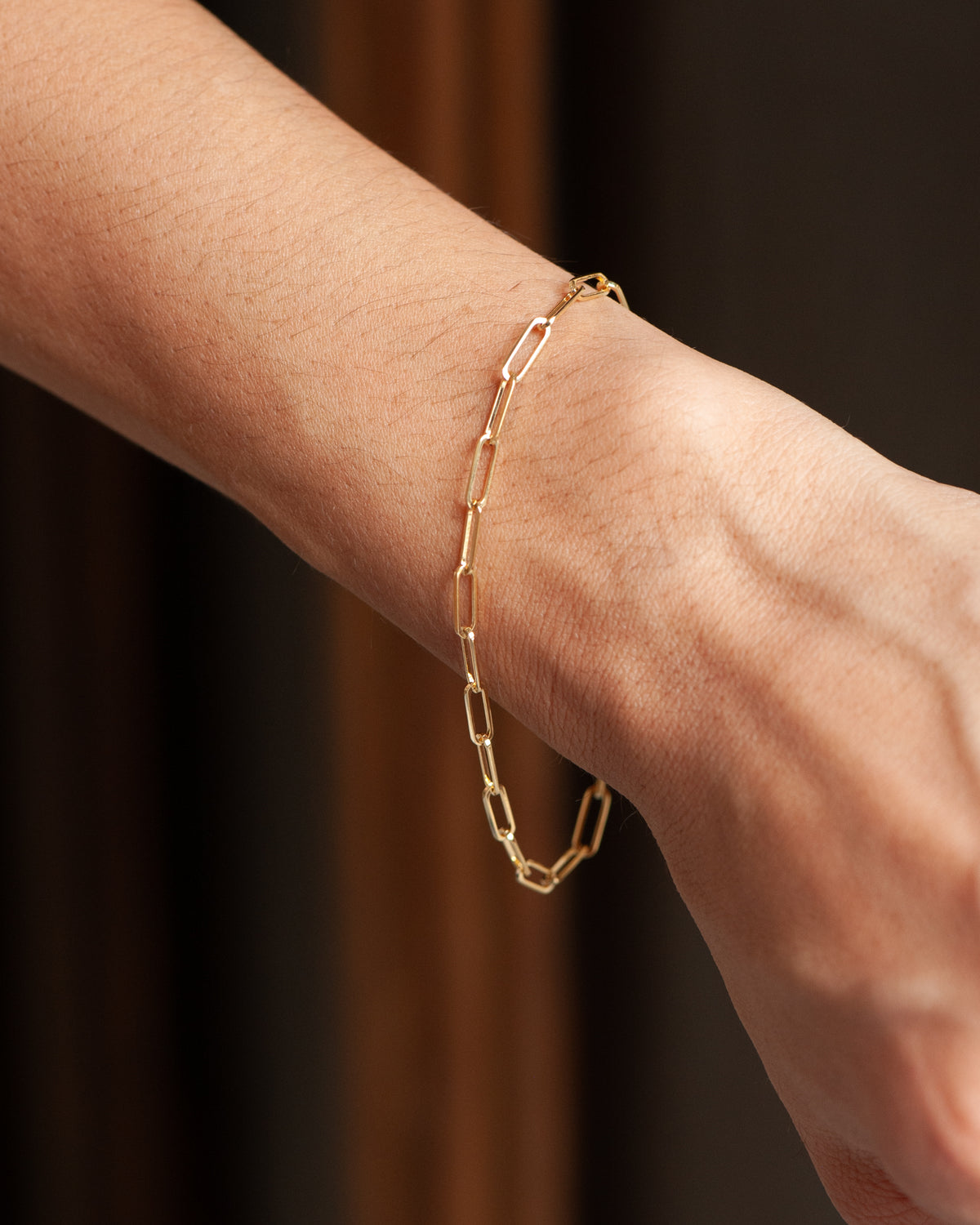 Paper Clip Bracelet No.1
