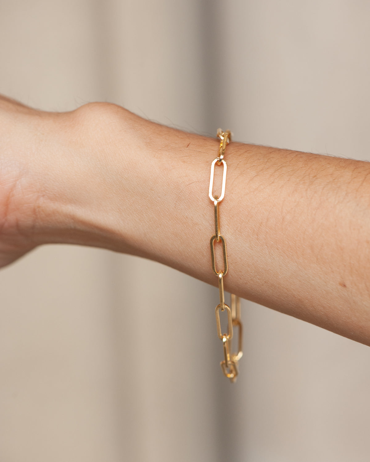 Paper Clip Bracelet No.2