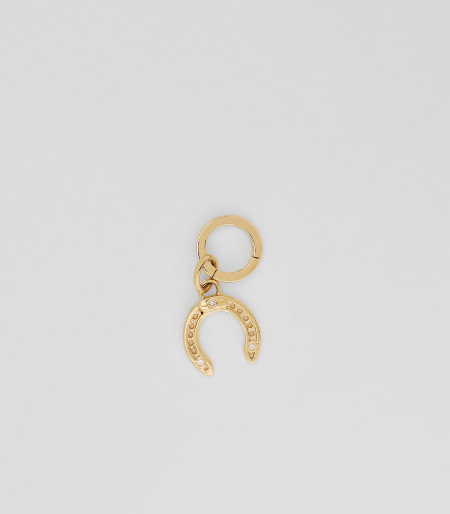 Lucky Charm