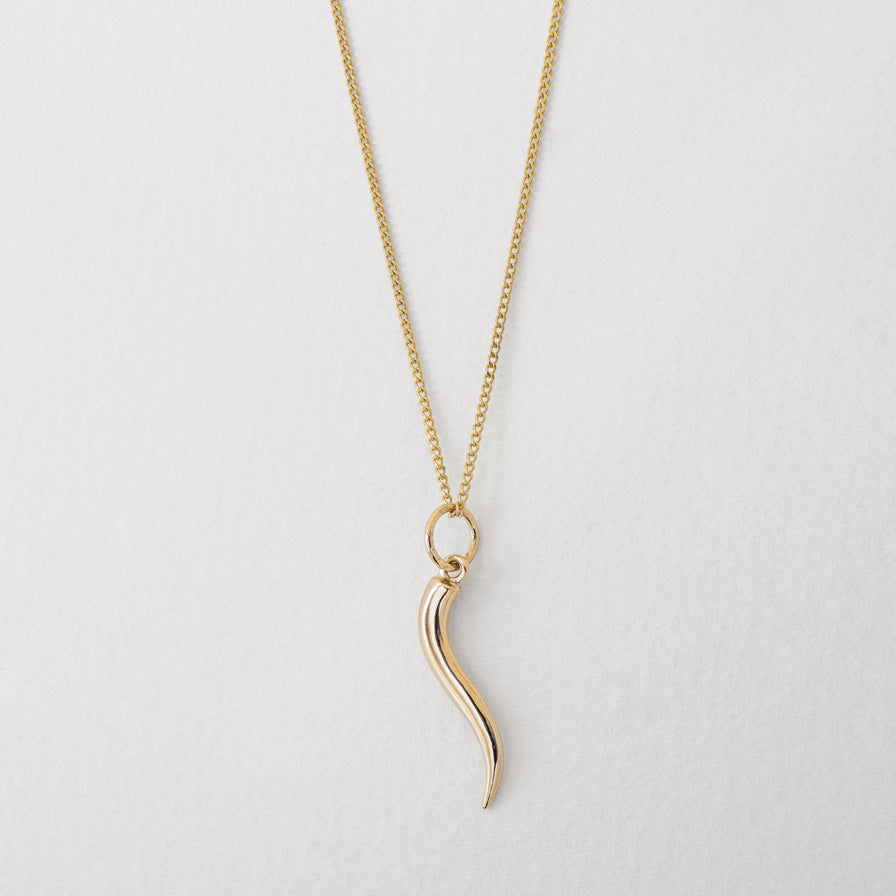 Little Horn Charm