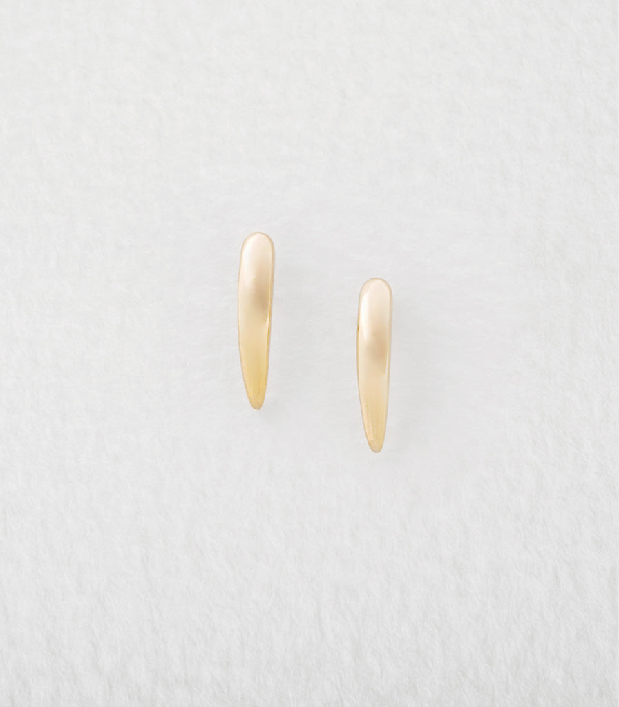 Torc Earrings