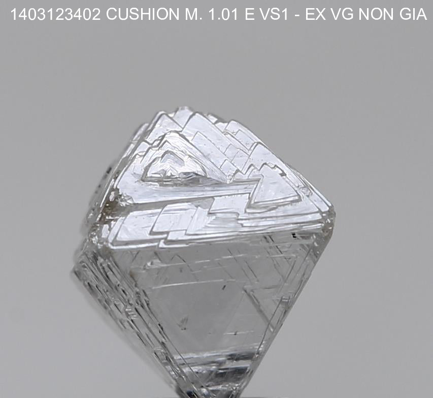 1.01 CMB E VS1 EX VG Canada CanadaMark GIA 6237102045 CM-412642