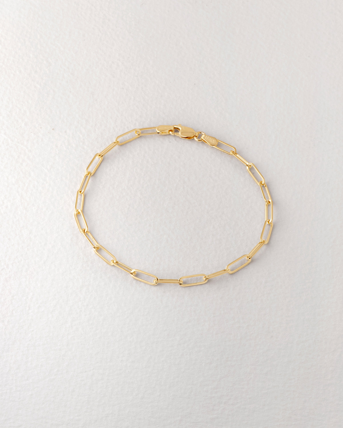 Paper Clip Bracelet No.1