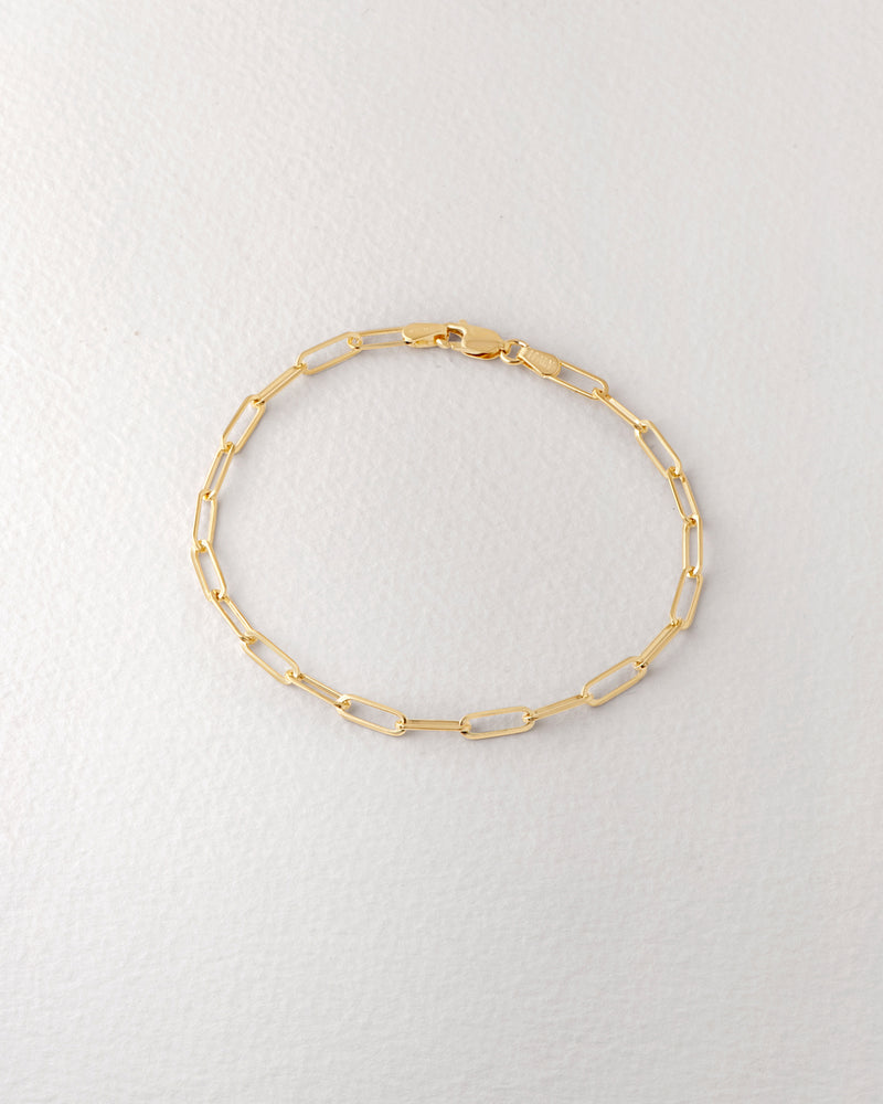 Paper Clip Bracelet No.1