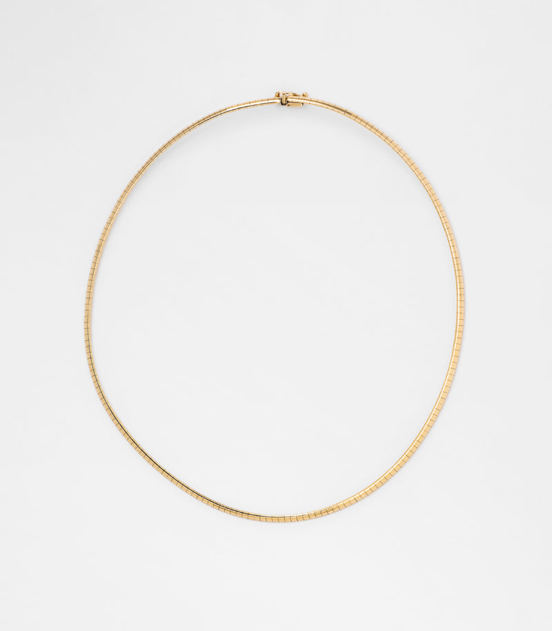 Omega Necklace